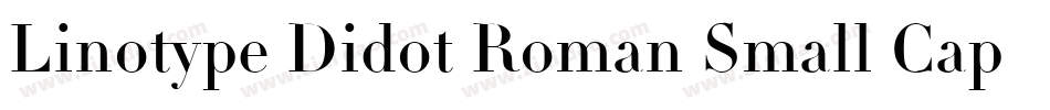 Linotype Didot Roman Small Caps & Oldstyle Figures字体转换